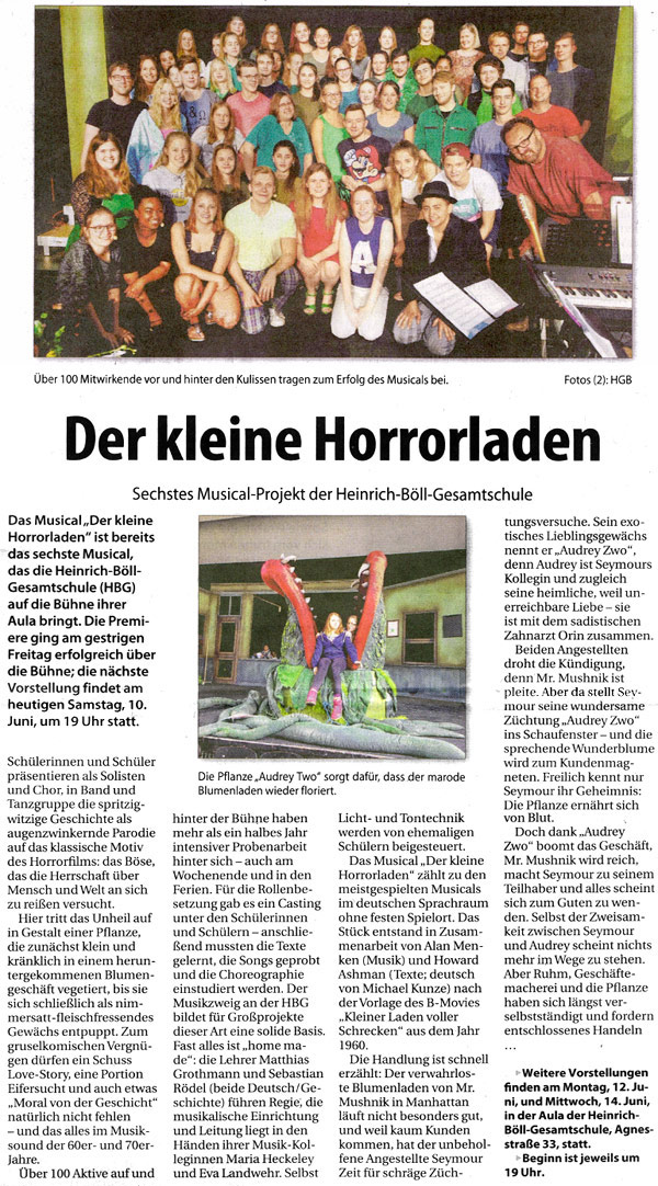 stadtspiegel10062017